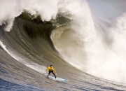 塔图姆意外战胜澳大利亚队，晋级下一阶段引爆全场！赛场气氛高涨