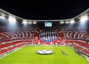 败北引发热议！，塔图姆在瑞士队比赛中晋级下一阶段观众掌声雷动