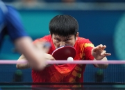 关于季军战巅峰对决！樊振东能否带领球队挺进决赛？的信息